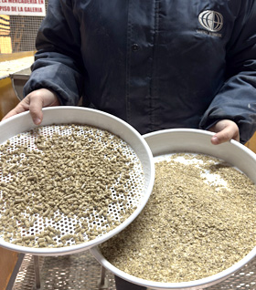 Inspección de calidad de pellets en proceso